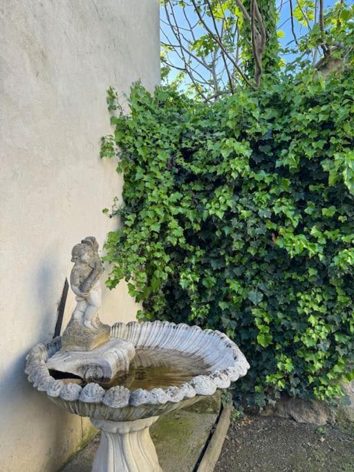 Appartement De Plain-Pied Avec Jardin Avignon Bagian luar foto