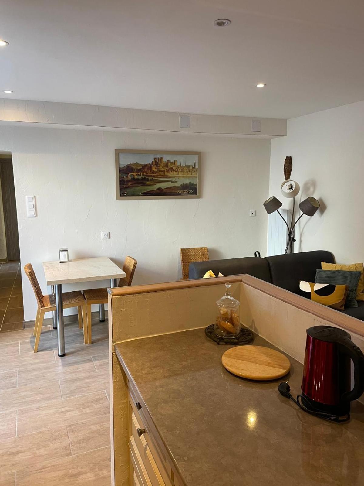Appartement De Plain-Pied Avec Jardin Avignon Bagian luar foto